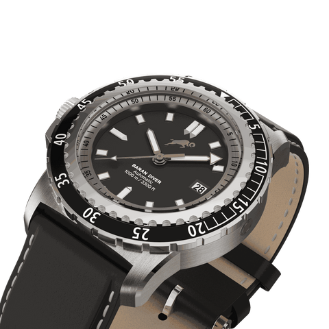 RAM Baran - R2011S1/1