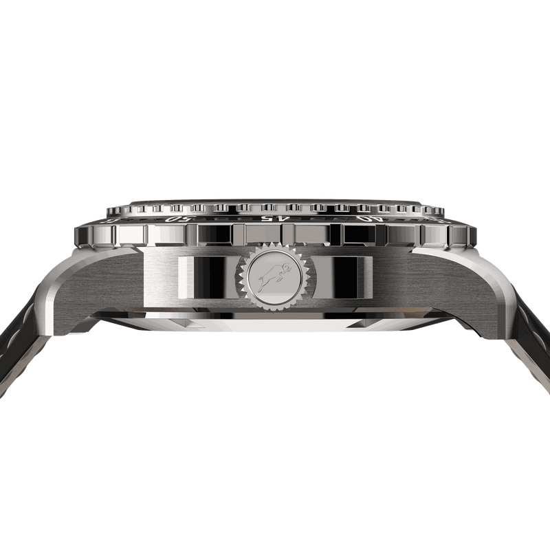 RAM Baran - R2011S1/1